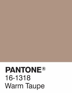 Pantone warm taupe oficial color