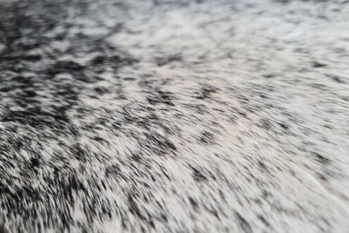 07-saltandpepper-50x50-07 Salt and Pepper Cowhide Pillow Detail