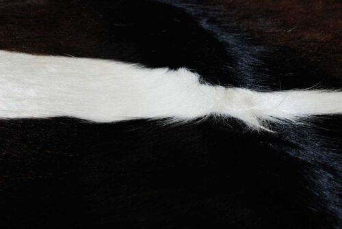 Black and White Cowhide Rug Detail
