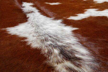 c105+++ Black and White Cowhide Rug